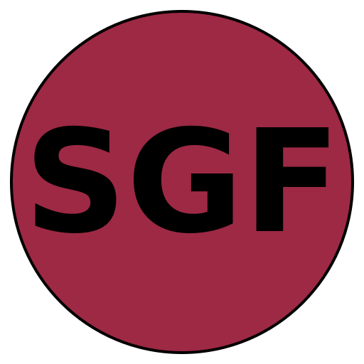 Savvy Guide Finance