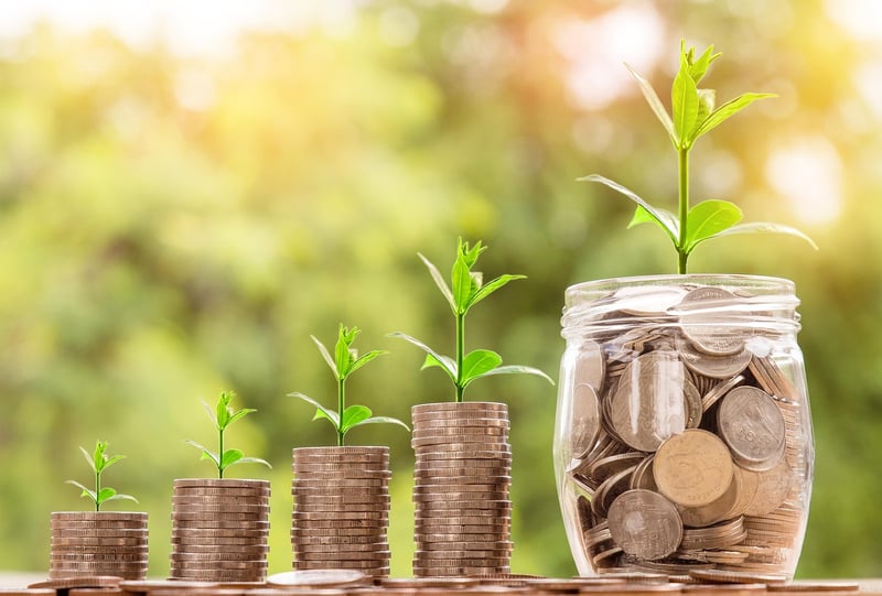 Investment Coins